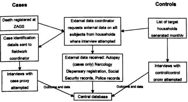 Figure 4.1 Information flow: interviews and external data