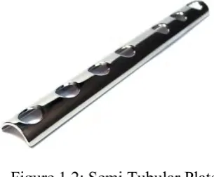 Figure 1.2: Semi Tubular Plate 