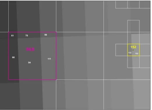 Fig 2. The generation of the average light value per square (Map produced in ArcGIS based DMSP/