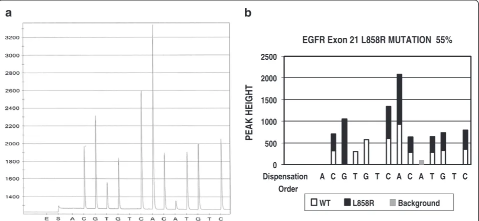 Figure 1 The pyrogram of EGFR exon21 mutation and software analysis result. Panel A is a pyrogram of EGFR L858R mutation