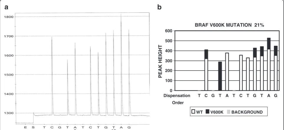 Figure 2 The pyrogram of BRAF V600K mutation and software analysis result. Panel A is a pyrogram of BRAF V600K mutation