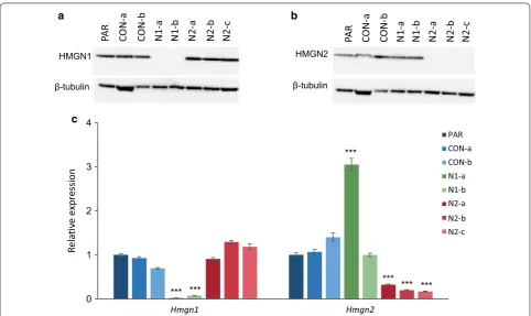 Figure S3, red arrows).We hypothesised that these changes in cell morphol-ogy in the Hmgn knockout populations could reflect an 