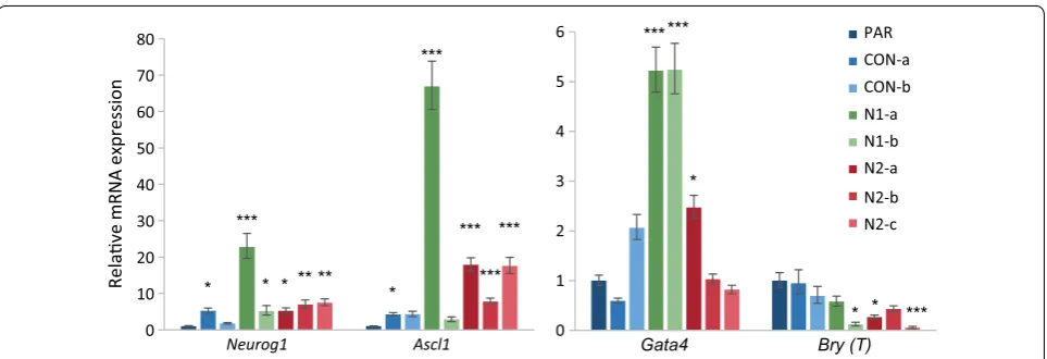 Fig. 4 Hmgn knockout cells have increased expression of pro‑neural transcription factors