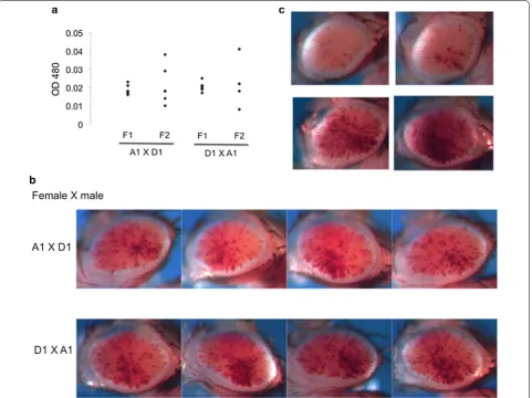 Fig. 2 PEV phenotype of the progeny from the cross between the A1 and D1 inbred lines