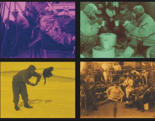 Fig. 6 Examples of blue toned and pink tinted, sepia and green tinted, and restored yellow-tinted frames as reproduced in the 2010 print of The Great White Silence (1924) 
