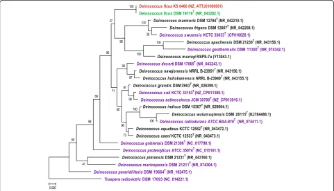 Fig. 1 16S rRNA phylogenetic tree of thegenomes - in Deinococcus genus. The multiple alignment of 16S rRNA sequences was constructed using MUSCLEprogram [58] with default parameters