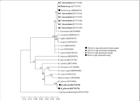 Figure 2 Neighbor-joining tree showing the phylogenetic relationship of the 18S rRNA gene sequences ofspecies identified in this study and those present in the GenBank database