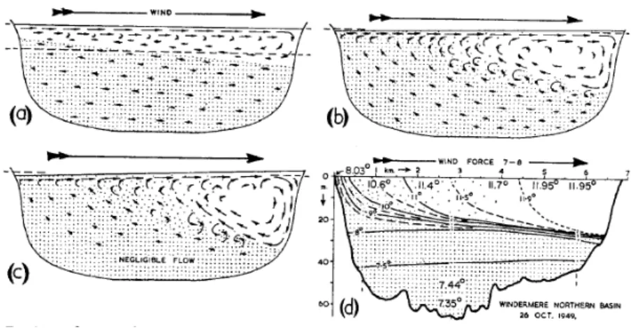 Figure 2.5: Two-dimensional representation of the effects of wind on a stratified lake:
