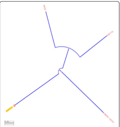 Fig. 5 RAST annotation of C. neteri strain M006. This annotationpipeline allows a view of the subsystem category distribution of C.neteri strain M006