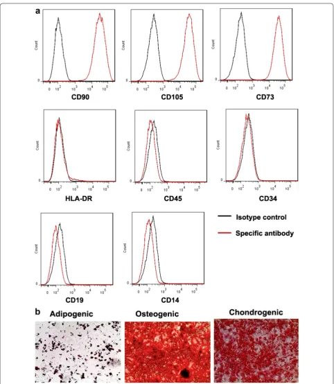 Fig. 1 Characterization of MSC: representative data is provided for a flow cytometric analysis indicating that the cells displayed MSC markers CD90, CD105 and CD73 and the absence of lymphoid and myeloid cell markers and b differentiation capacity of MSC