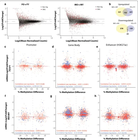 Fig. 2 Differential methylation with aging is anti‑correlated with expression changes in gene body and enhancer regions