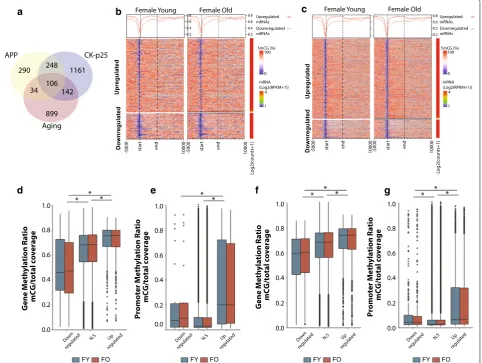 Fig. 6 DNA methylation patterns in hippocampus of young and old animals are associated with genes differentially regulated in models of neurodegeneration