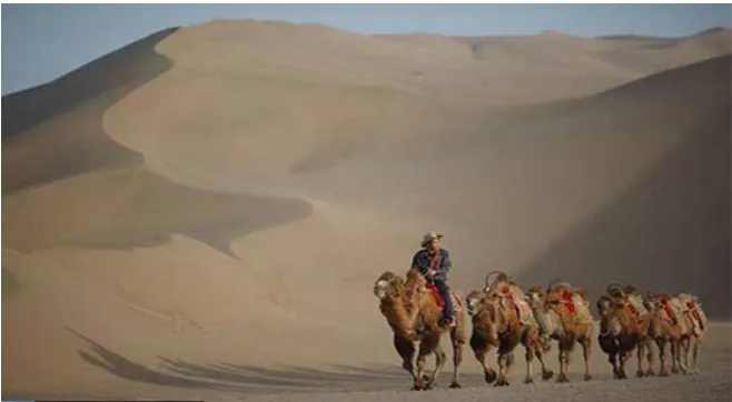 Figure 3. Part of the Silk Road in the sands. 