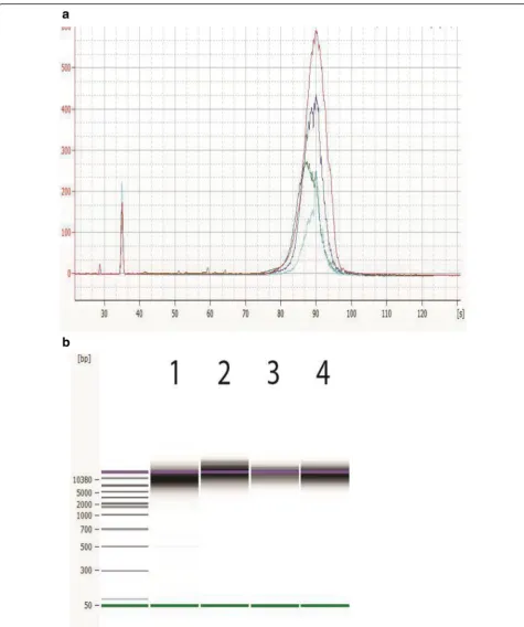Fig. 4 Appearance of sheared DNA from Agilent 2100 Bioanalyzer analysis. Representative electropherogram (a) and virtual gel (b) are used forvisual inspection (generated with the Agilent 2100 Bioanalyzer system with the DNA 12000 Kit) of sheared bacterial 
