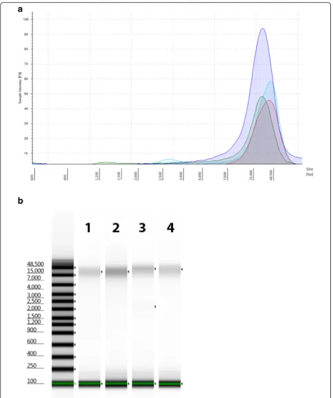 Fig. 7 Appearance of DNA libraries from Agilent 2200 TapeStation analysis. Representative electropherogram (a) and virtual gel (b) of DNAlibraries sizes (generated with the Agilent 2200 TapeStation DNA genomics Kit) prepared for sequencing with the PacBio 