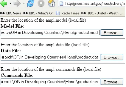 Figure 1:  Example of a NEOS input screen. 
