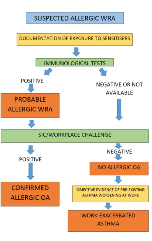 Figure 3: Allergic Occupational Asthma: diagnostic flow-chart. 