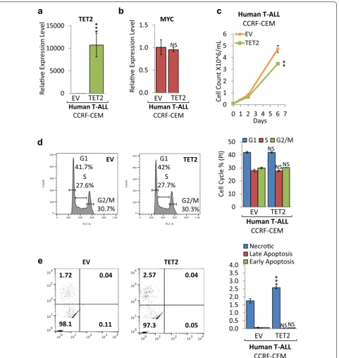 Fig. 6 Ectopic TET2 expression reduces cell proliferation of human T‑ALL. Human T‑ALL cells (CCRF‑CEM), engineered to ectopically express TET2 (TET2), were compared with empty vector (EV) controls