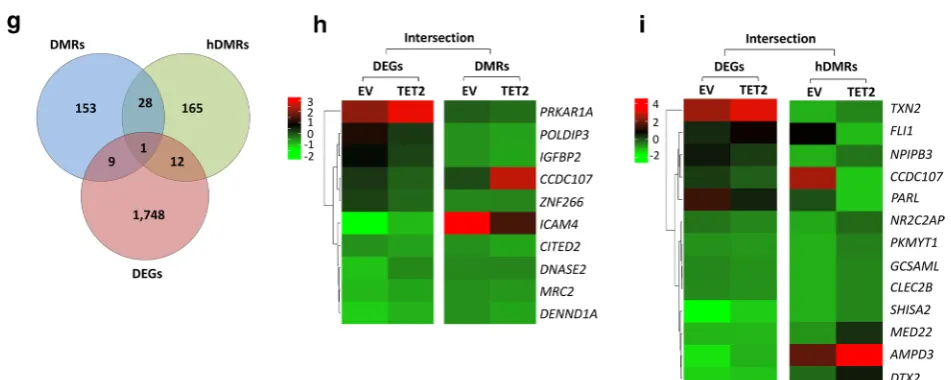 Fig. 7 continued
