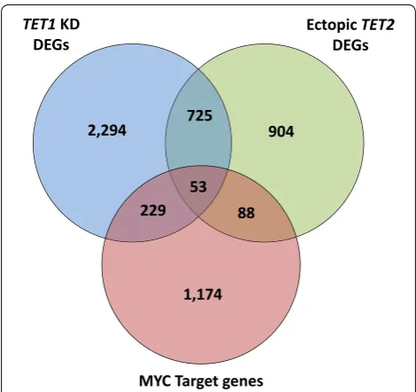 Fig. 8 TET1, TET2, and MYC target genes overlap. Overlap between DEGs upon from the Molecular Signatures Database (MSigDB) [intersection between genes is displayed as Venn diagram