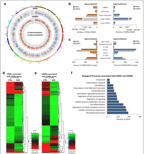 Fig. 1 Tumor regression upon MYC inactivation in T‑ALL is associated with genome‑wide changes in DNA (hydroxy)methylation