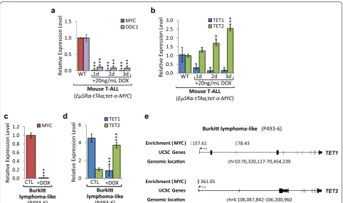 Fig. 2 TET1 and TET2 levels are dependent on MYC expression. MYC inactivation in T‑ALL cells (6780) derived from EµSRα‑tTAα;tet‑o‑MYC mice, and human Burkitt lymphoma‑like (P493‑6) cells, harboring a tetracycline‑regulated c‑MYC allele, in a time‑dependent