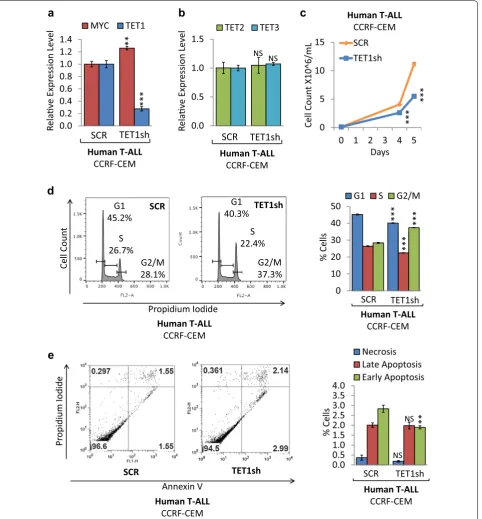 Fig. 4 TET1 KD reduces cell proliferation of human T‑ALL. Human T‑ALL cells (CCRF‑CEM) were compared before (SCR) and upon TET1 KD (TET1sh)