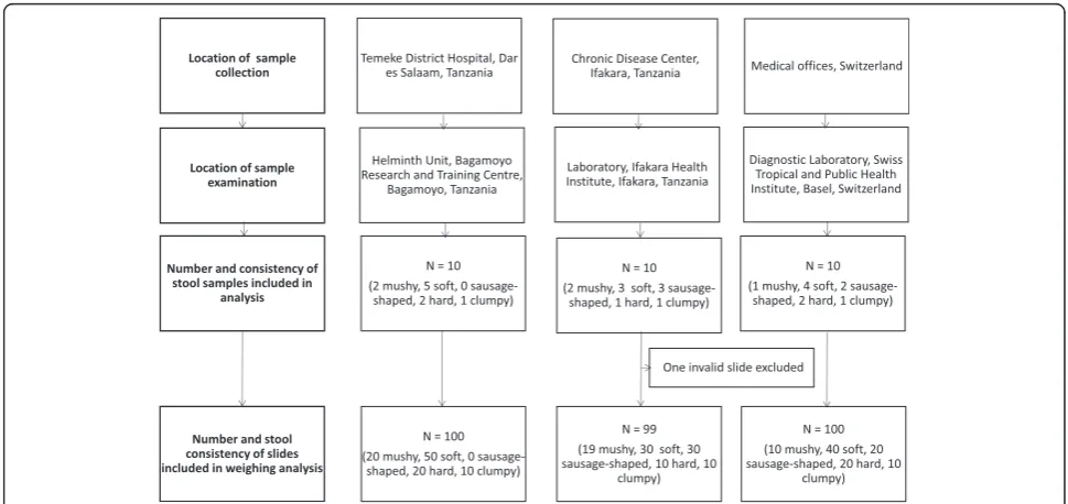 Fig. 1 Flowchart detailing the sampling and analysis process. The location of stool sample collection and examination, and the number and stoolconsistency of samples and slides measured is indicated