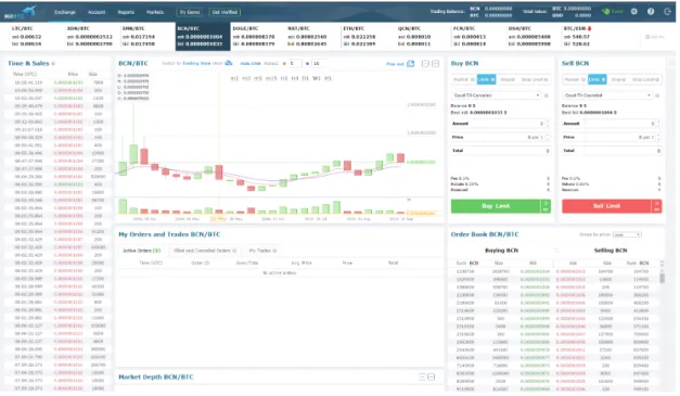 Figure 2.14: HitBTC User Inteface.https://hitbtc.com/