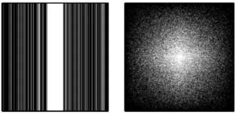 Figure 2.3: Two masks considered. Left: 1D Cartesian sampling with random phase encodes (30% sample rate shown); Right: 2D random sampling (25% sample rate shown).