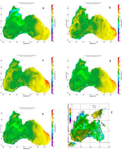 Fig. 8. Sea surface temperature on the 7 July 2007 produced by the model with various grids: (a) ZCO; (b) SCO; (c) Z*SIG; (d) SZH; (e)SZHENV, (f) satellite image from dvs.net.ua.