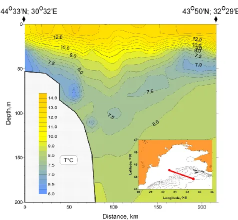 Fig. 1. Dense water cascade in the Black Sea, May 2004,(Shapiro, 2008).