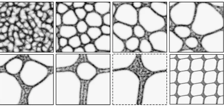 Figure 5. Stable minimizing network approximates hexagonal tiling. Lattice 200 × 200, %p 15, RA 45, SA 45, SO 9