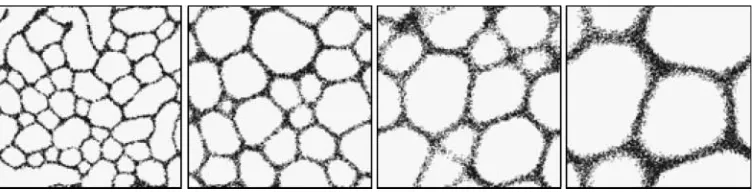 Figure 11. Interaction between population size and sensory scale. Columns: %p. Rows: sensor offset distance