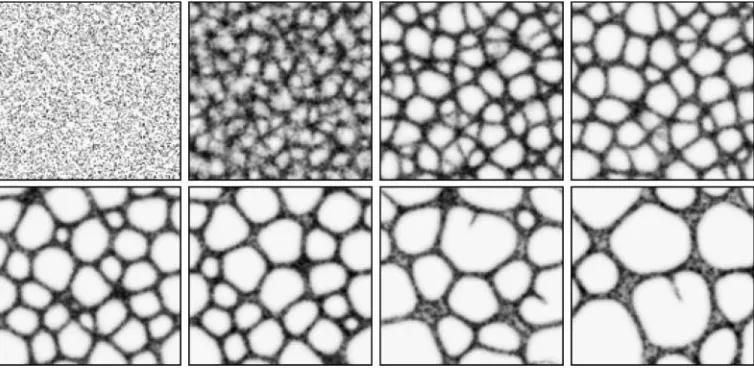Figure 4. Spontaneous formation and evolution of transport networks. Lattice 200 × 200, %p 15, RA 45, SA 22.5, SO 9.Trail-map patterns, images taken at 2, 22, 99, 175, 367, 512, 1740, and 4151 scheduler steps.