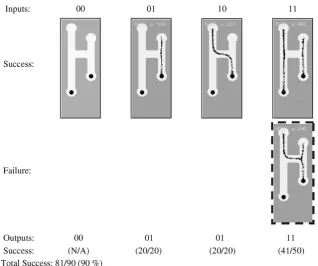 Fig. 6. Evolution of ‘plasmodium’ positions and interaction fronts in the particle model for thetant gradient