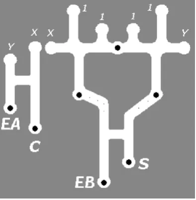 Fig. 9. Spatial representation of half-adder based on combinations ofandoutput. Solid discs are food sources and small dots are small food sources to feed G1 and G2