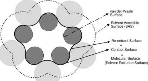 Figure 3: Two dimensional molecular surface representation 15
