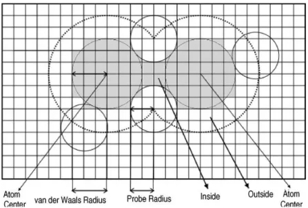 Figure 5: The grid cells whose centers fall inside the probe circles are marked as outside (white  grid cells)