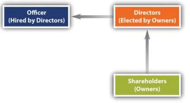 Figure 2.1 "Corporate Legal Structure", though somewhat oversimplified, shows the basic legal structure 