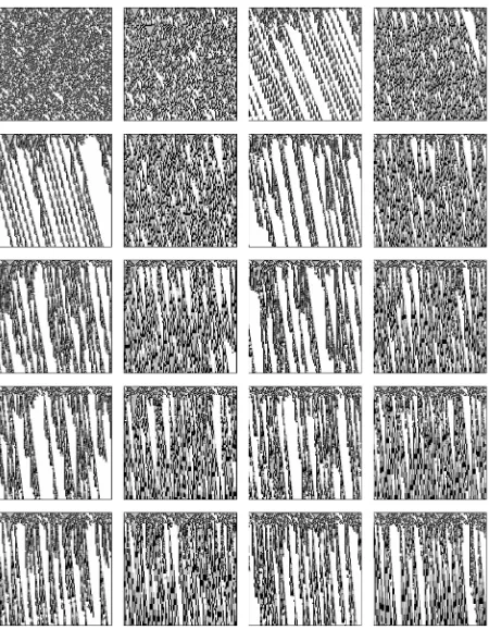 Figure 6. Complex dynamics emerging in rule 30 with majority memory fmajfrom a range of values from t  3 to t  21