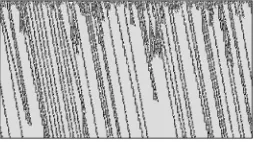 Figure  8.  Gliders  emerging  in  rule  30  with  fmaj  and  t  8.  This  evolutionshows how some kinds of gliders arise and still interact from random initialconditions