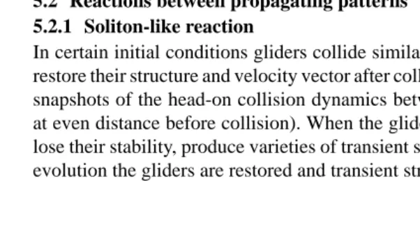 FIGURE 15Examples of diffusion-like patterns produced in collision between gliders in the Diffusion RuleCA