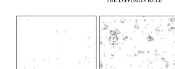 FIGURE 1Three random initial densities for the Diffusion Rule: (a) 0.004, (b) 0.013 and (c) 0.995