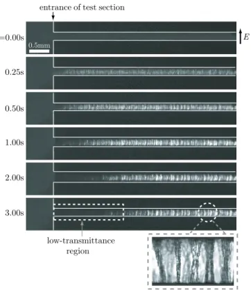 Fig. 2 Images of structure formation and subsequent coars- coars-ening during pressure-driven flow of an ER suspension inside a straight microchannel