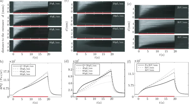 Fig. 3 (a) Intensity maps displaying structure evolution in a microchannel with an applied electric field of E=4 kV/mm