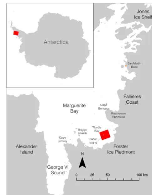Figure 1. Study area situated around Buffer Island in Wordie Bay,Antarctica.