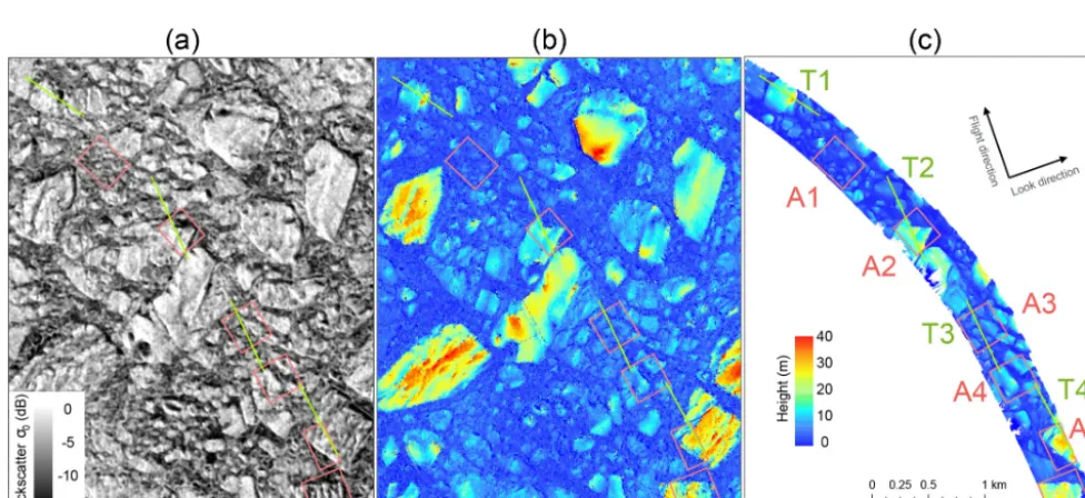 Figure 3. Cropped area of the TanDEM-X scene processed for backscatter intensity (a) and interferometric height (InSAR DEM) (b)