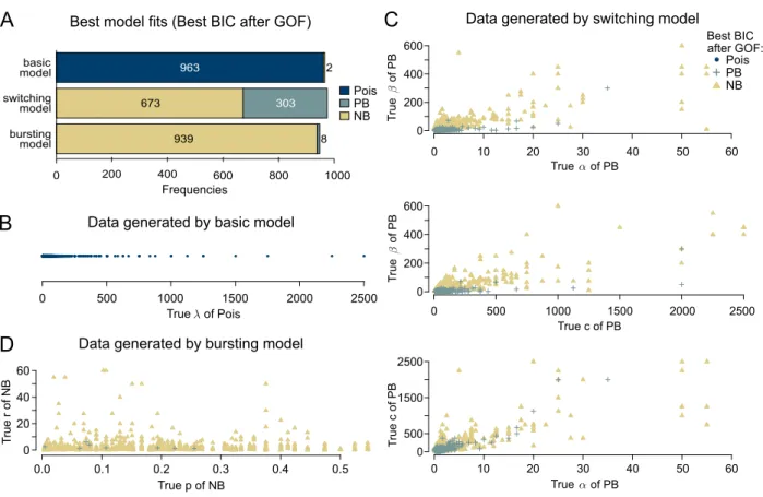 Figure 4: Model selection on in silico data: (A) Frequencies of chosen distributions (Poisson, PB, NB) via BIC-after-GOF based on datasets generated by the three different transcription models (basic, bursting, switching)