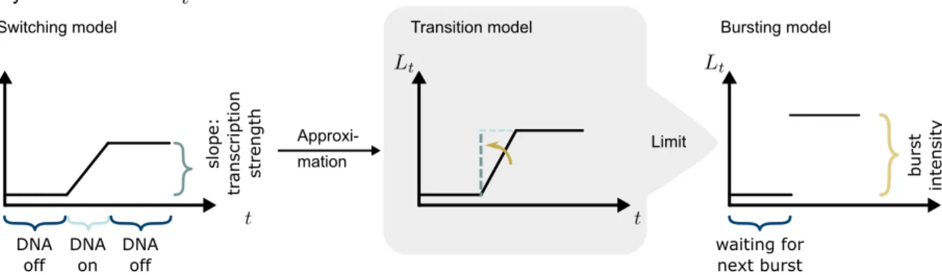 Figure 2: The L´ evy subordinator of the switching model is shown on the left by means of an exemplary trajectory